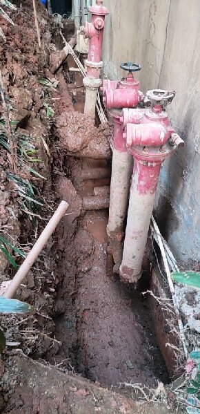 佛山祥順 佛山祥順